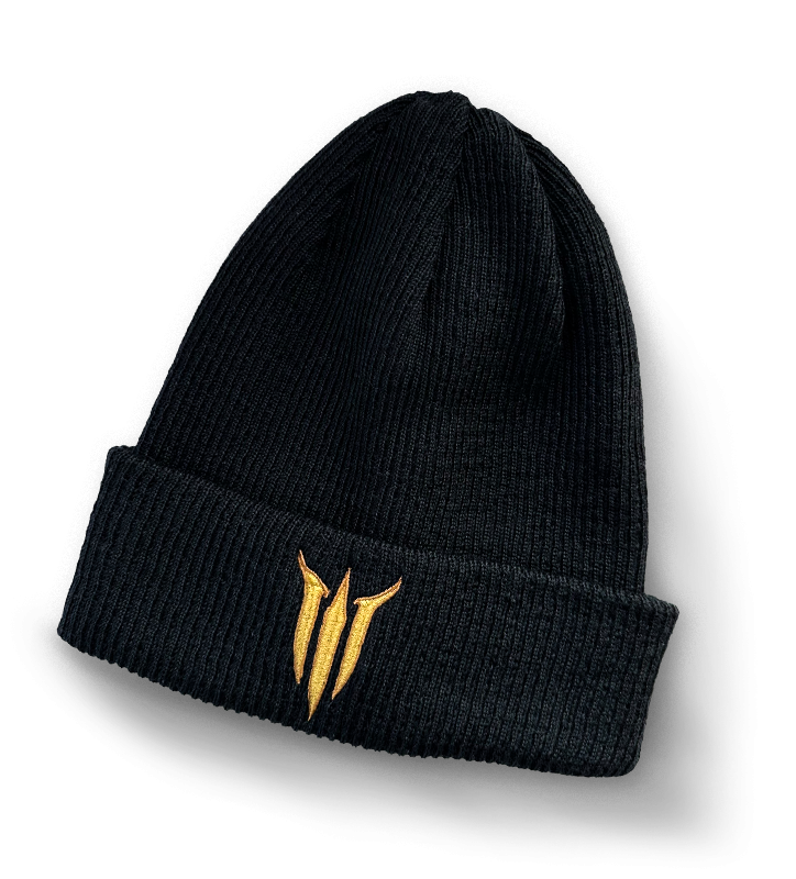 Baldur’s Gate 3 - Logo Beanie